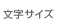 文字サイズ